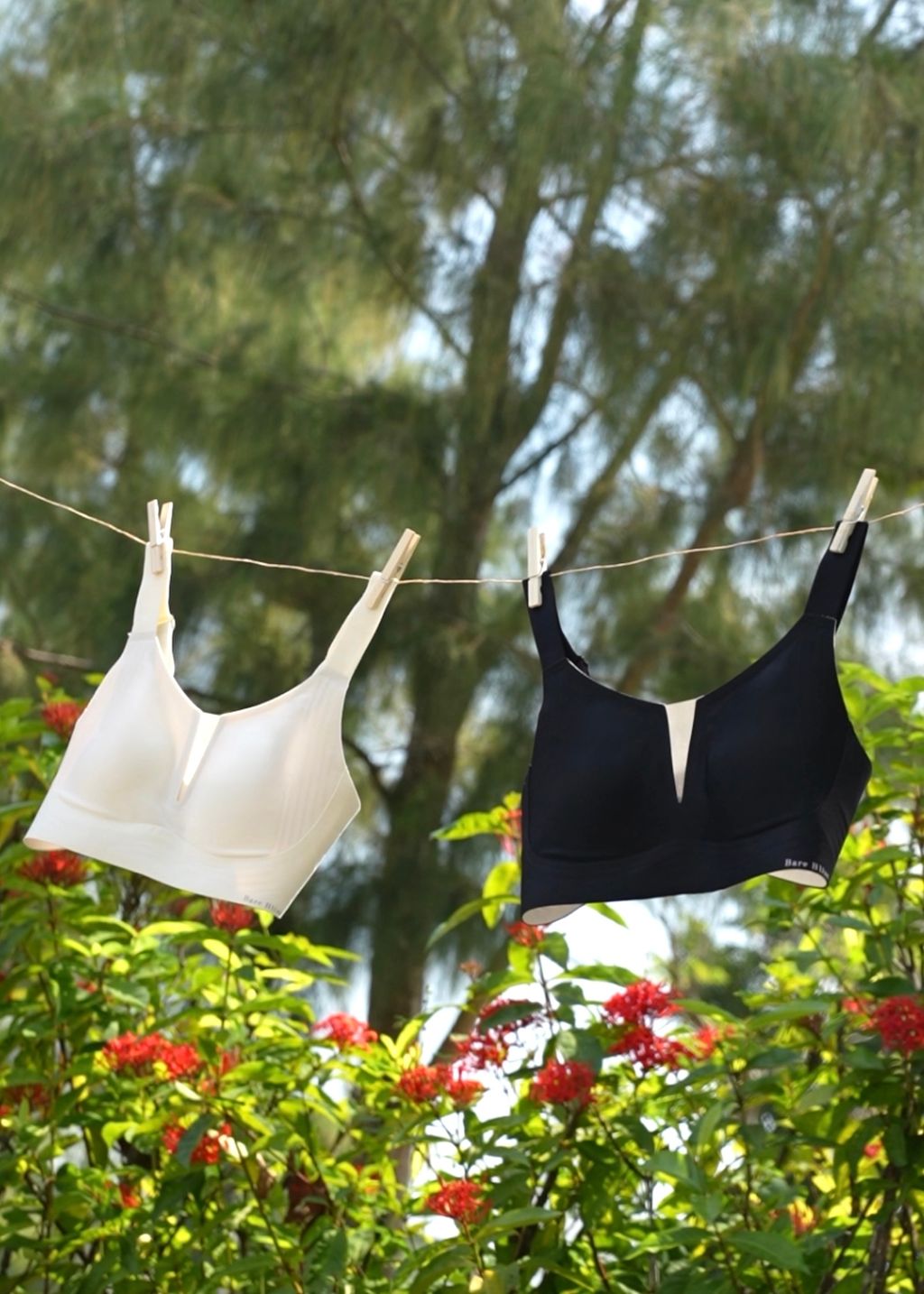 image_FFF07397-940D-4C25-B9C9-D81E7A596BB1_1761758200