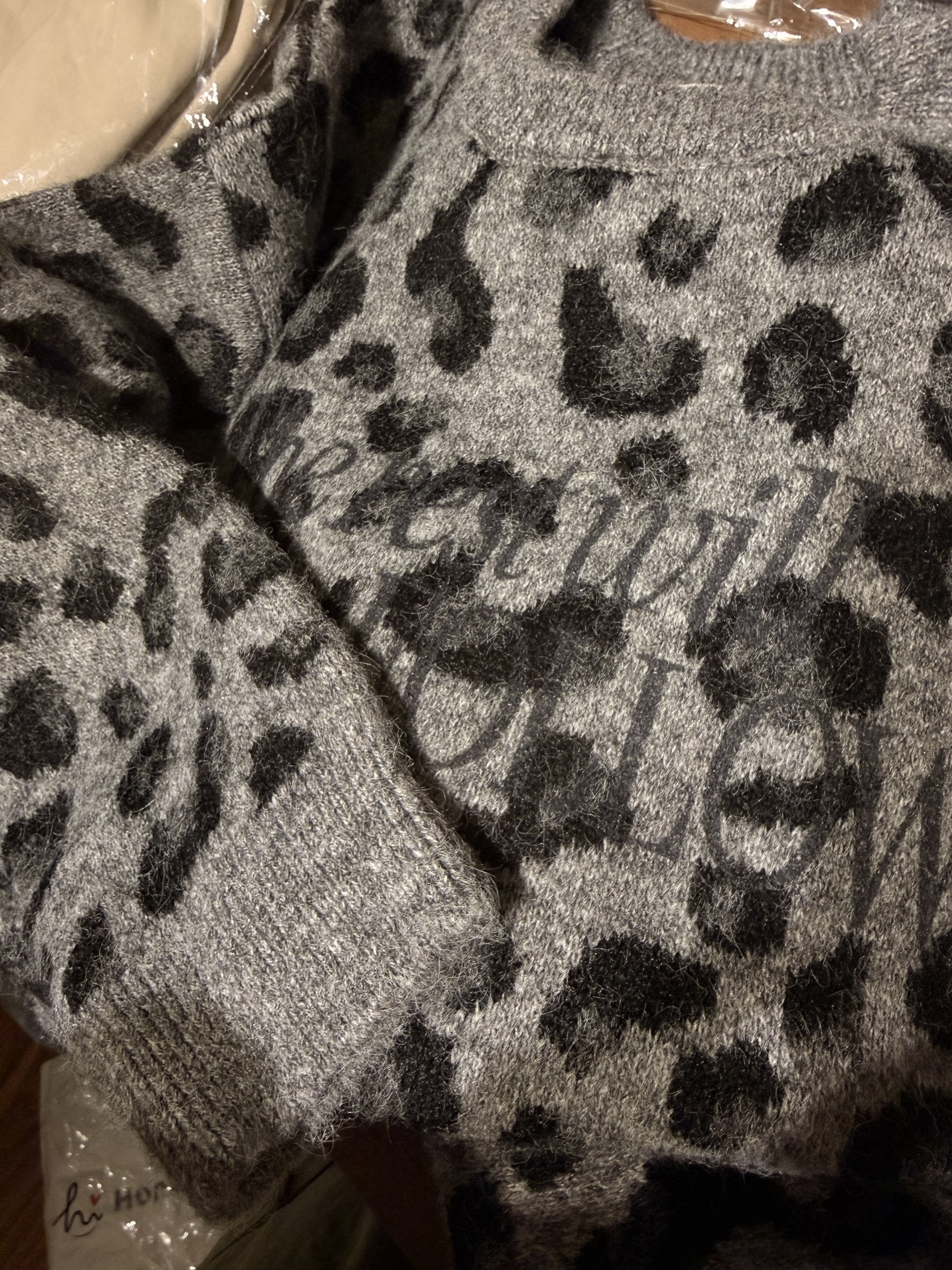 image_09CF2CEF-3C99-46A3-A59A-21152E6C0CA3_1767750802