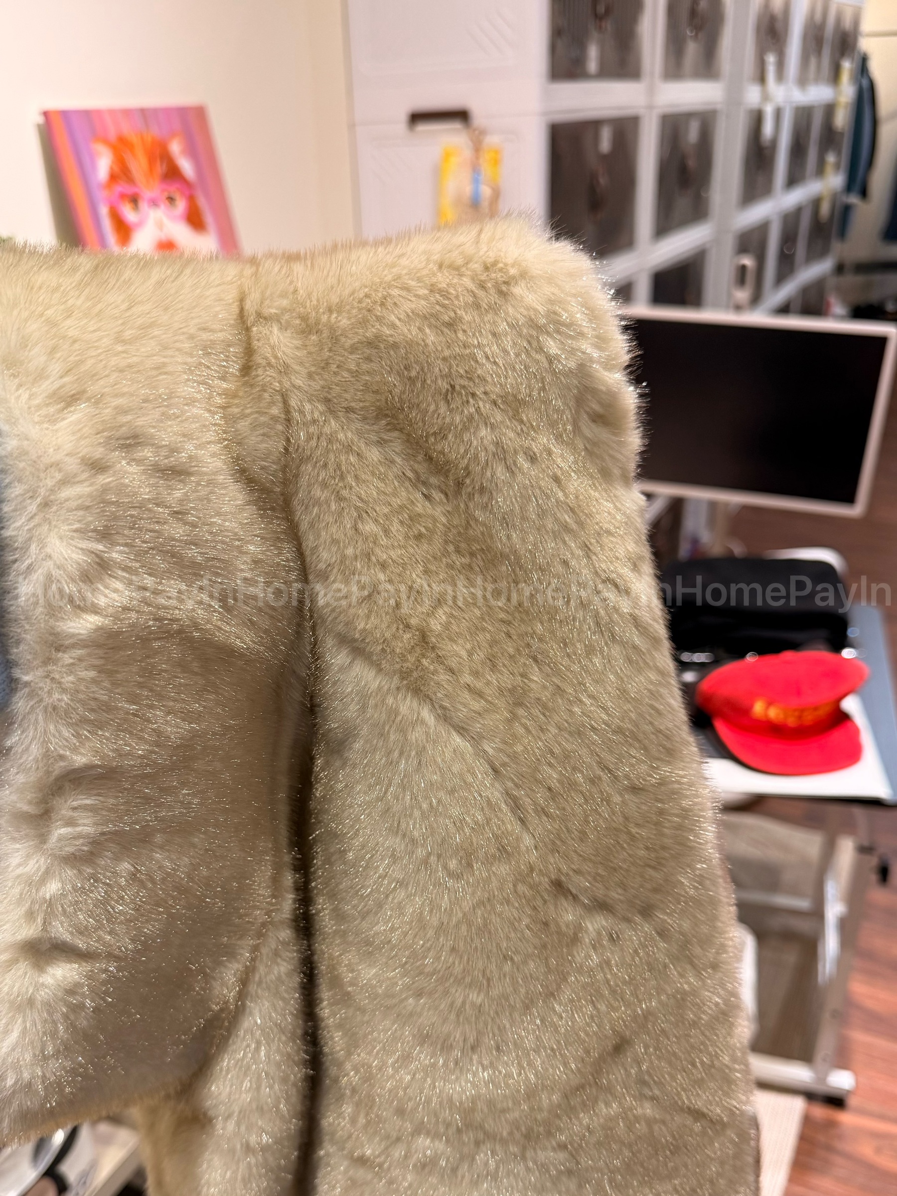 image_0AFE3D60-4122-4F75-B3F4-F9A94AB15C7A_1768653641