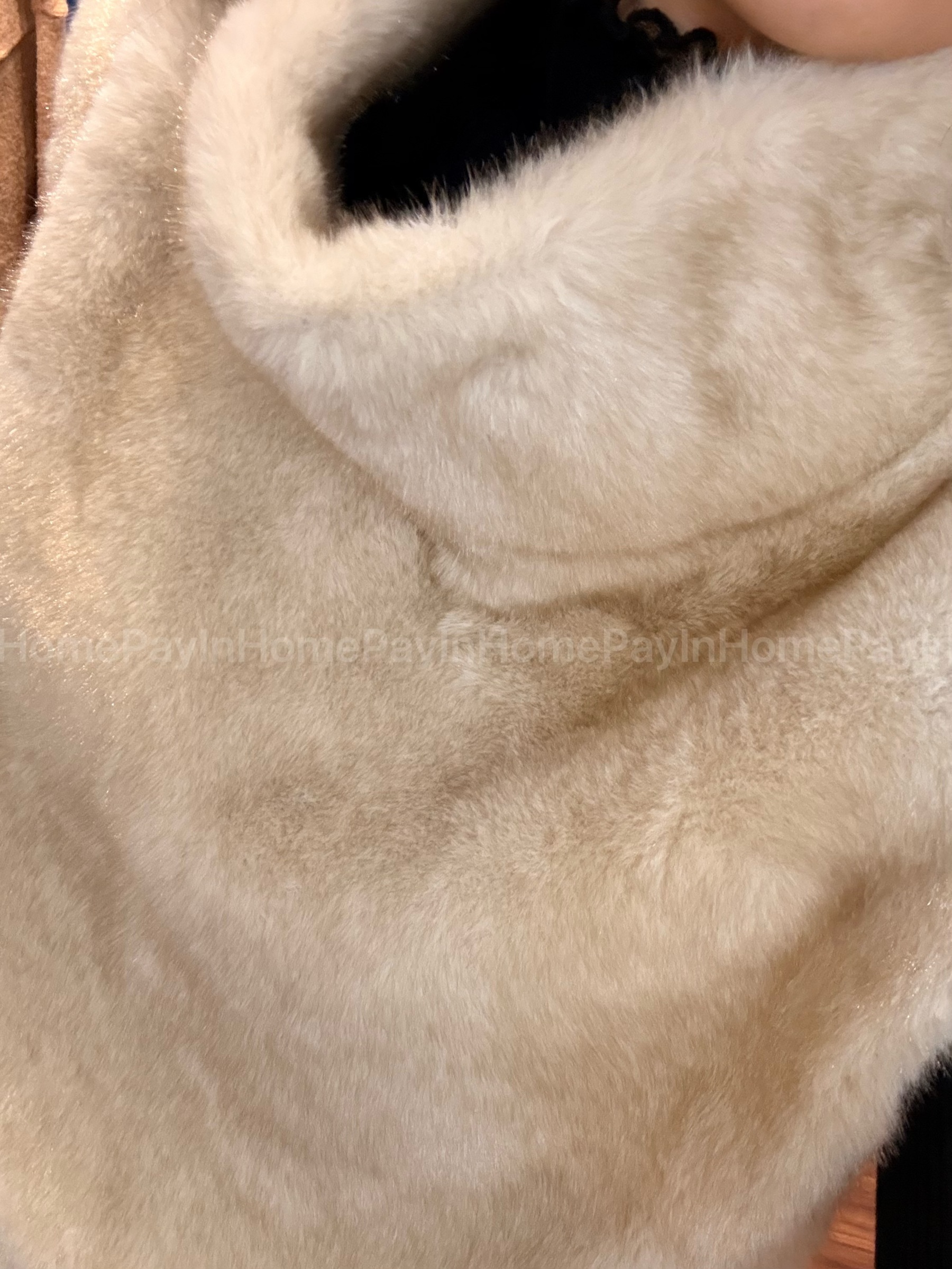 image_9C3793A4-2659-4CEB-99B6-68EB5B59B79F_1768653642