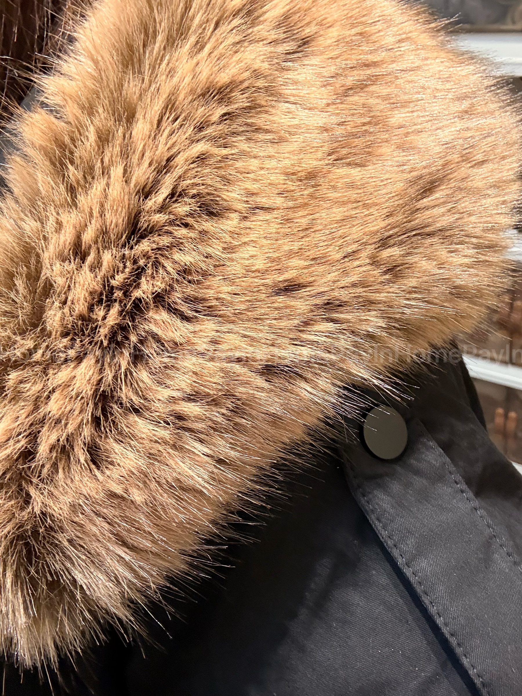 image_621267F4-0D76-4635-BD9E-82E96956874B_1768914586