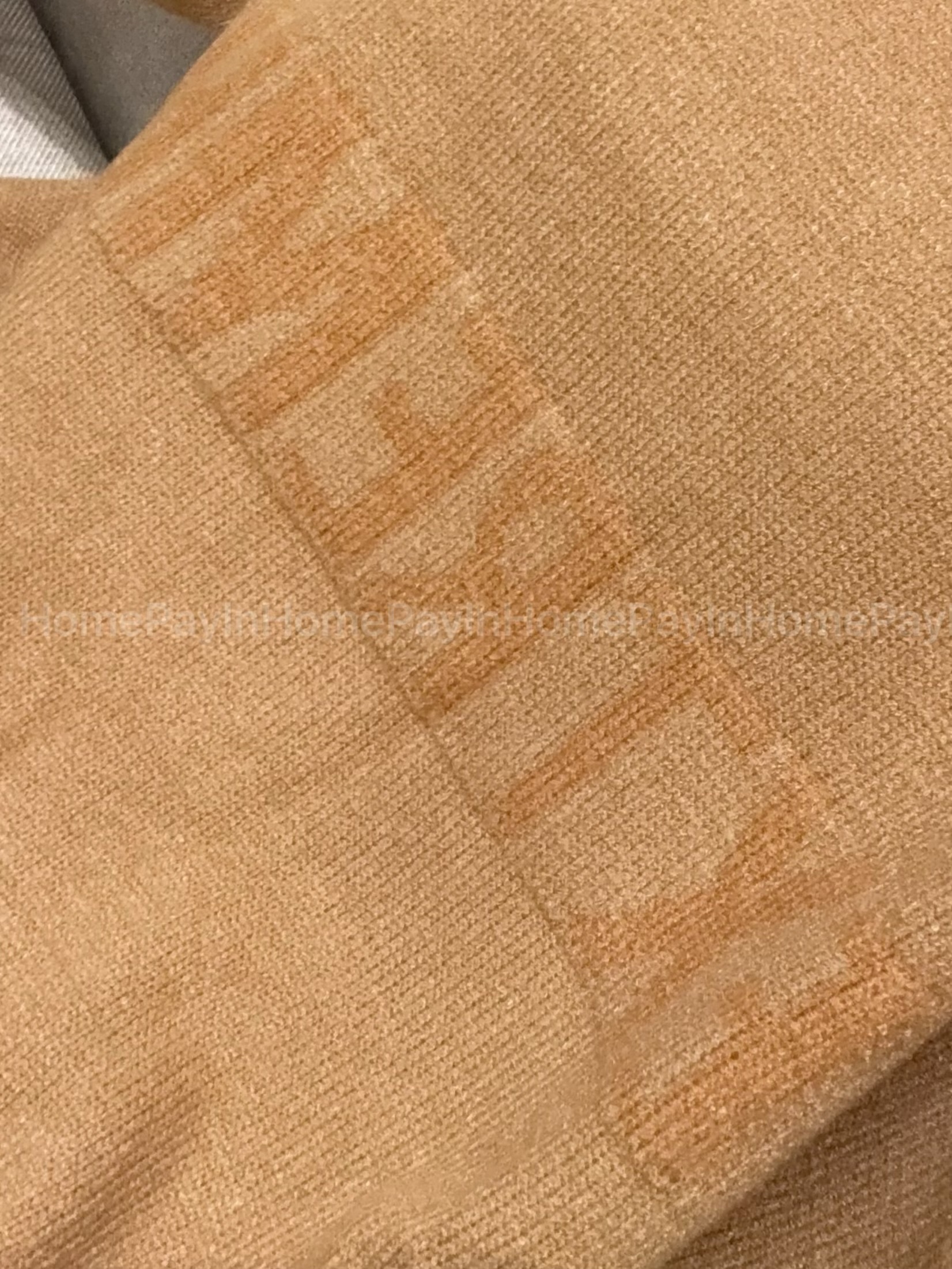 image_97066EE6-BA5D-4BE1-BC77-AEDC19AF6F4D_1770018386