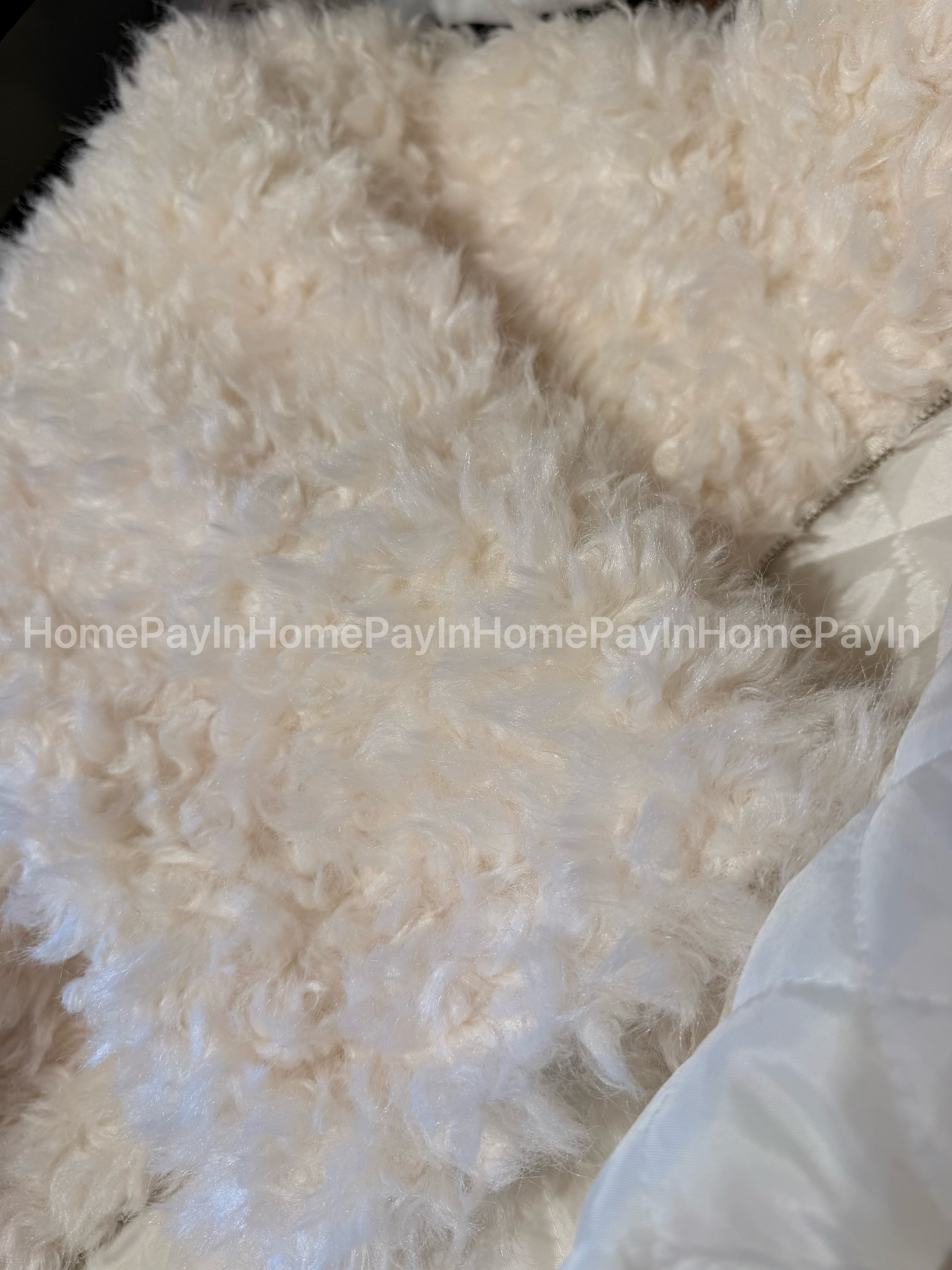 image_88CDA7F9-BB19-4803-AD83-E490788A128E_1770078178