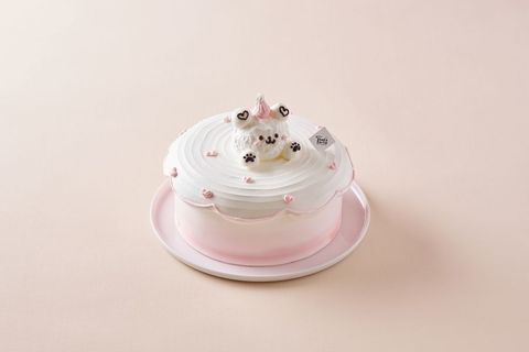 20260316-芝士塔塔13827