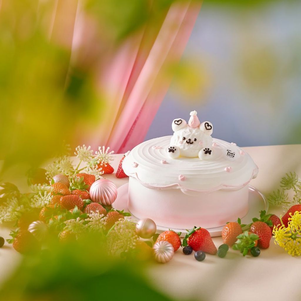 20260316-芝士塔塔13975