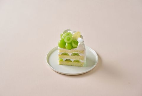 20260316-芝士塔塔13591