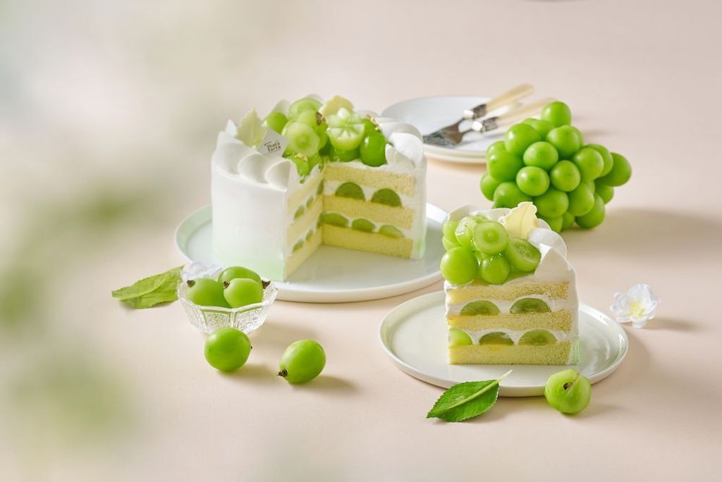 20260316-芝士塔塔13611