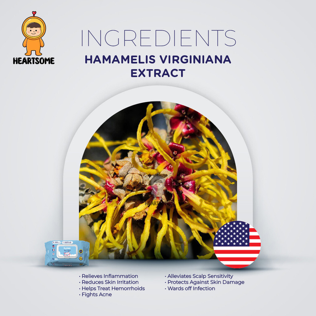 a92c434afb8ab6e4e96f2f10fd11b023