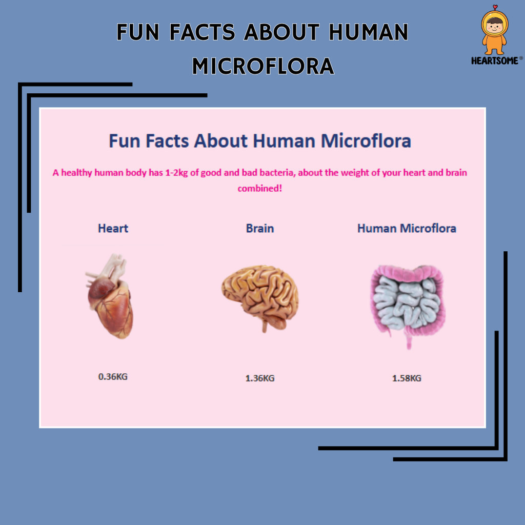 bccf5daa7a433164733f375c0e2d6743