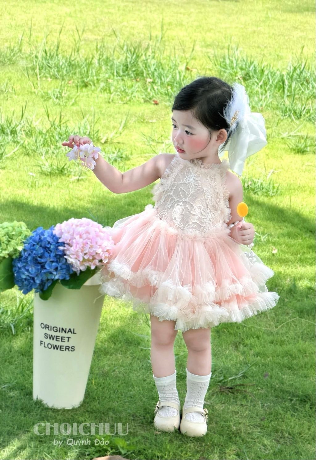 image_3570D0BC-CED9-4395-9ED3-116EB5CF2313_1782031902
