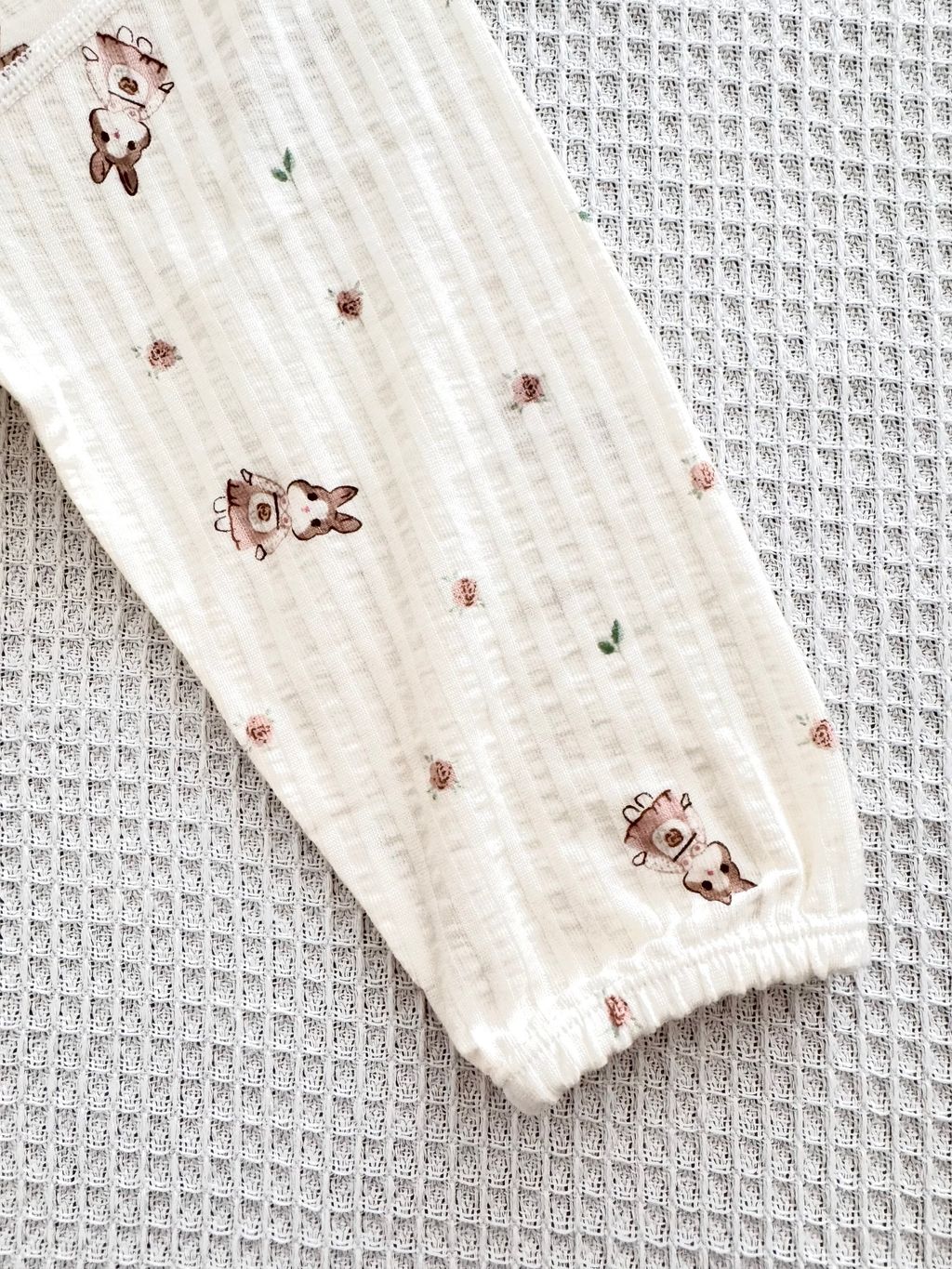 image_E01ED511-AA56-4224-91B7-BF3620CC586B_1748935474