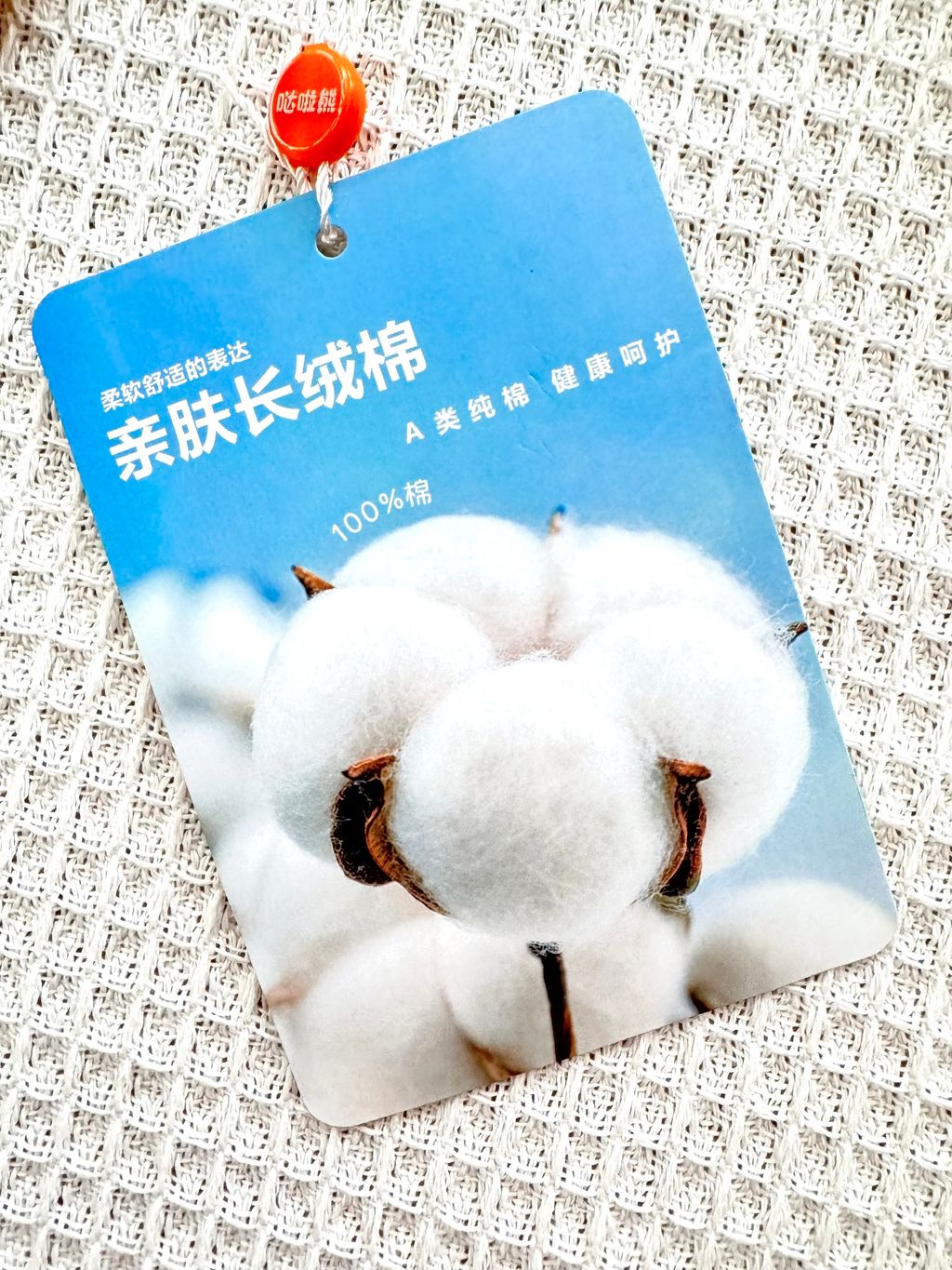 image_7926EFED-91A9-431F-9E82-2803320C5002_1748935583