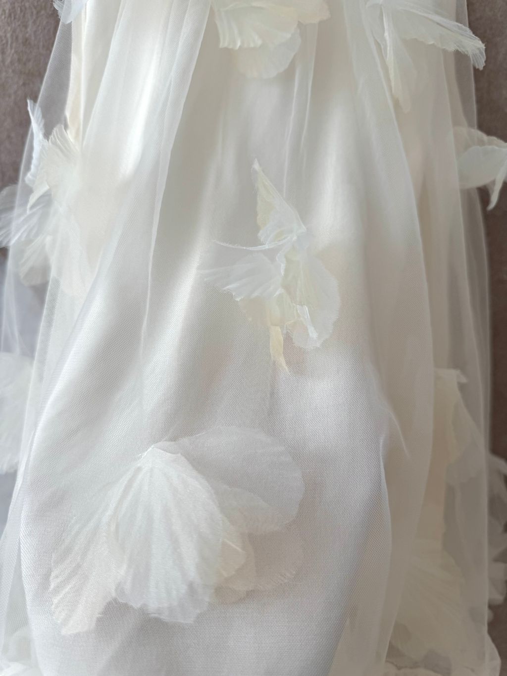 image_6E521155-D0E9-45C5-8350-653619FF73C4_1750679667