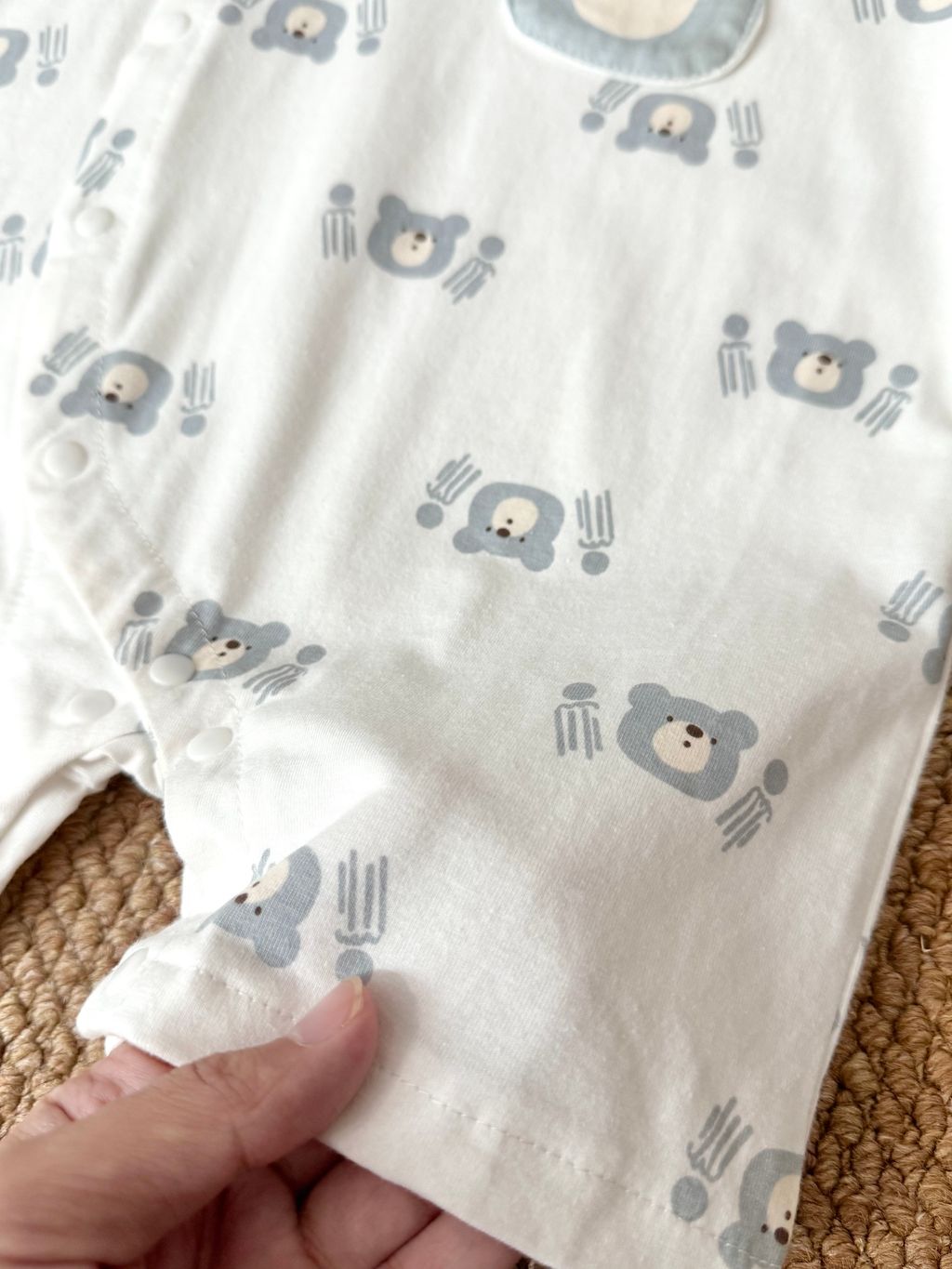 image_BACD273F-6C87-491C-B3E9-8CF7E0DDD533_1759366717