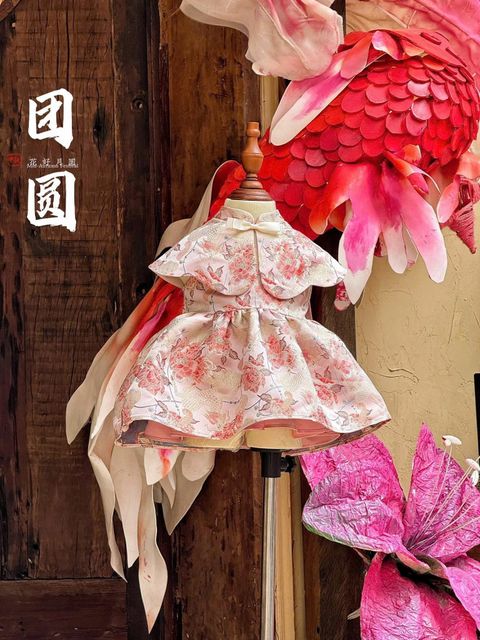 image_4B592CFC-DDB5-49CD-BE17-3605215DC816_1762691531