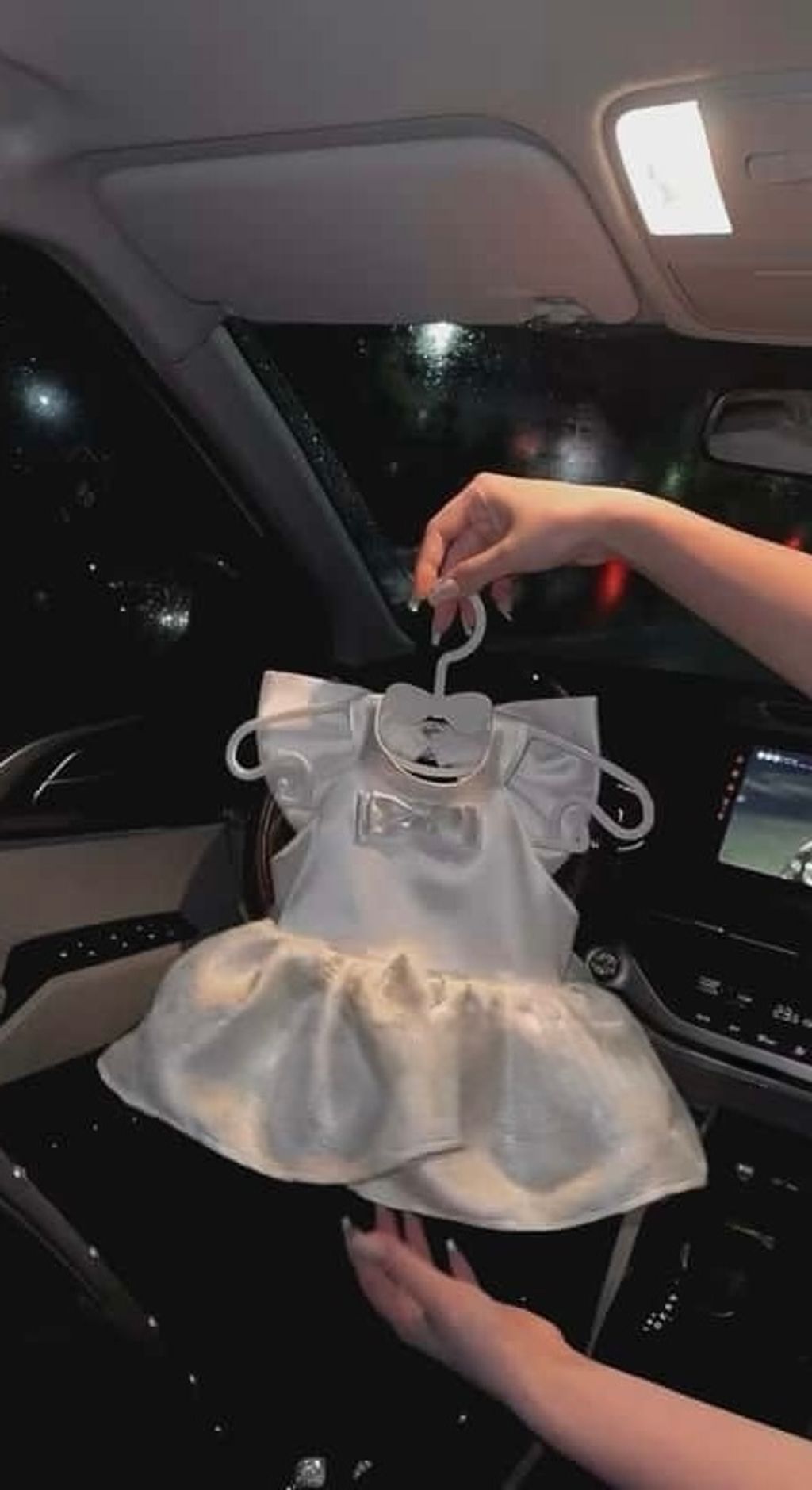 image_BC927D32-6A0D-49D1-85A0-0962D2FA34A3_1764772173