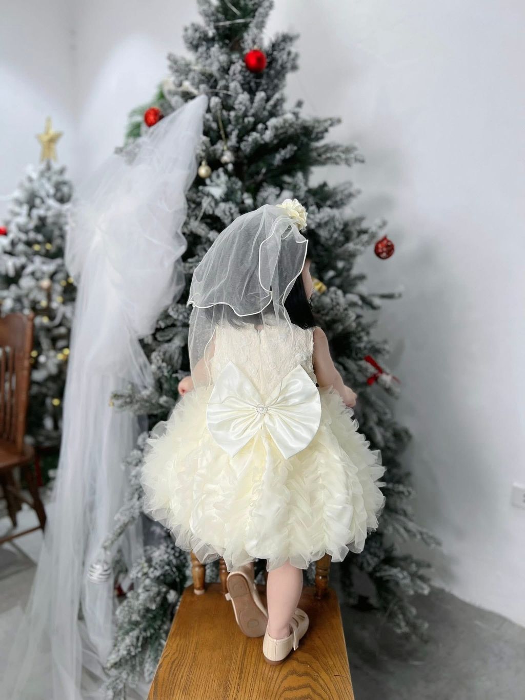 image_24B485C7-B31F-47F4-BD0E-BB4CBC1C7A79_1766337537