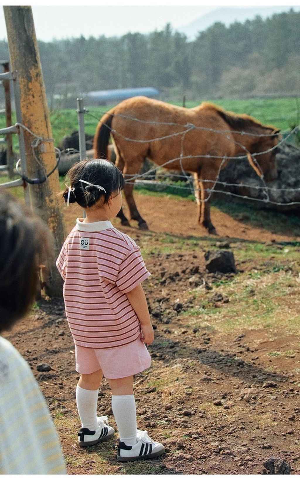 image_96EDCF78-EB1B-4D90-A90E-3F4009170E36_1775374951