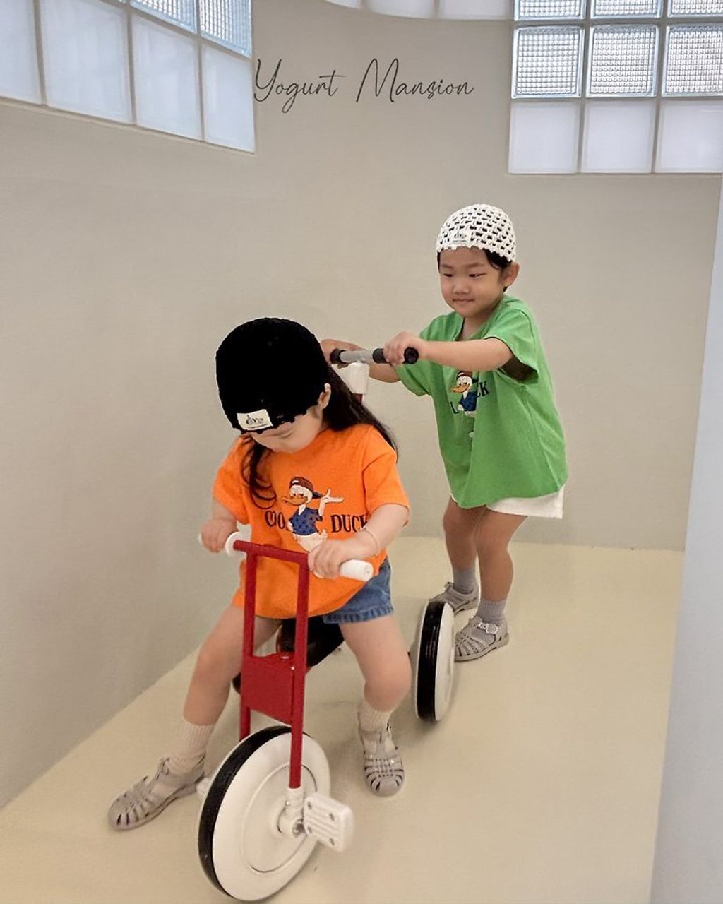 img_l_294