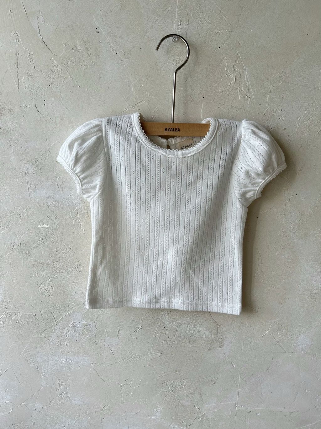 레드아일렛핀콧티 (2)