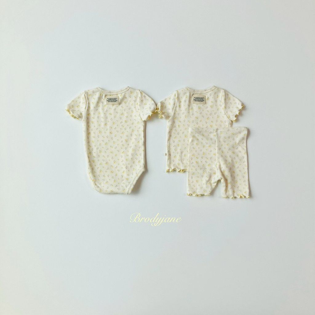 img_xl (1)
