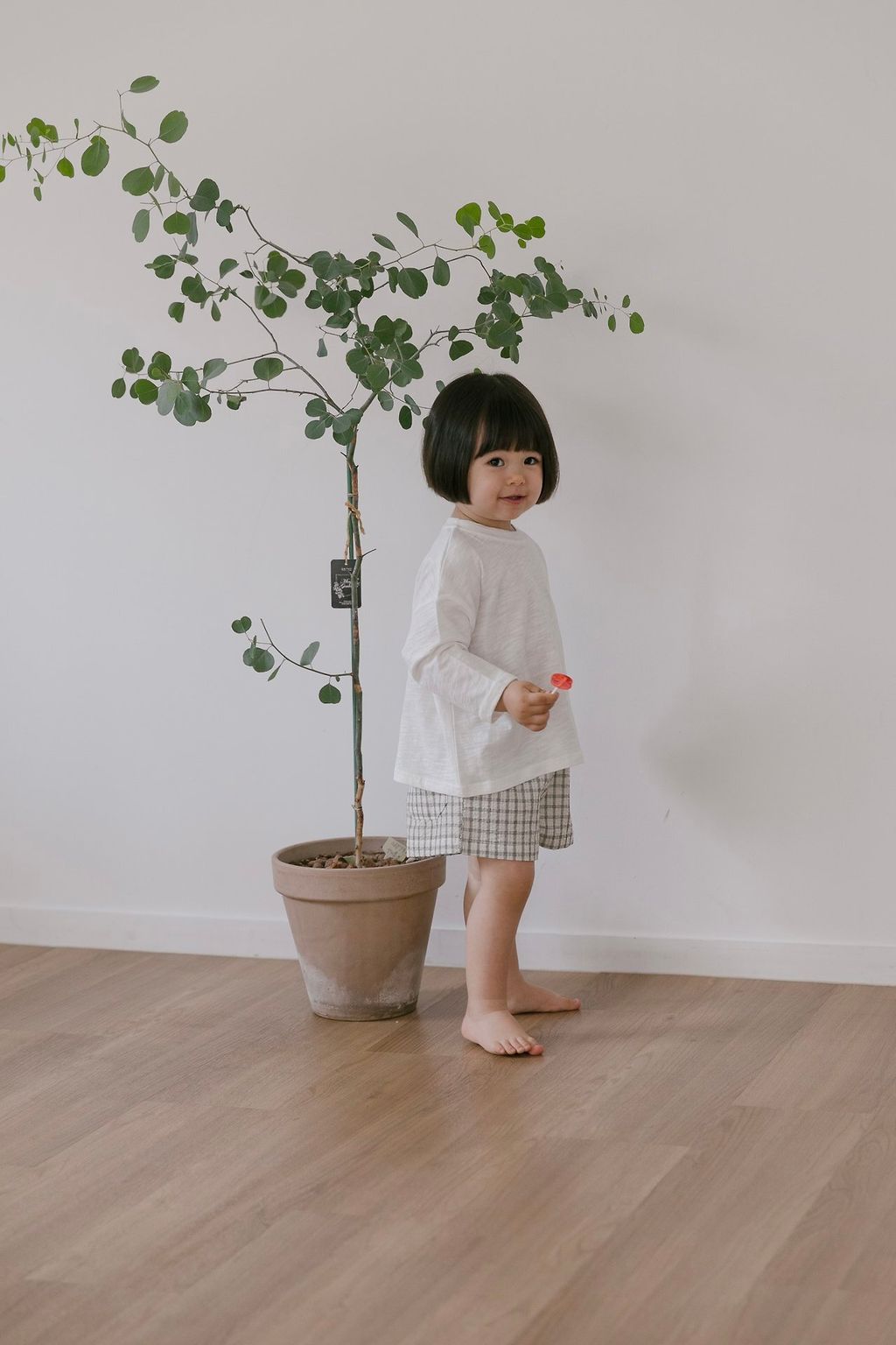kakao_story_20260615_135054_351293