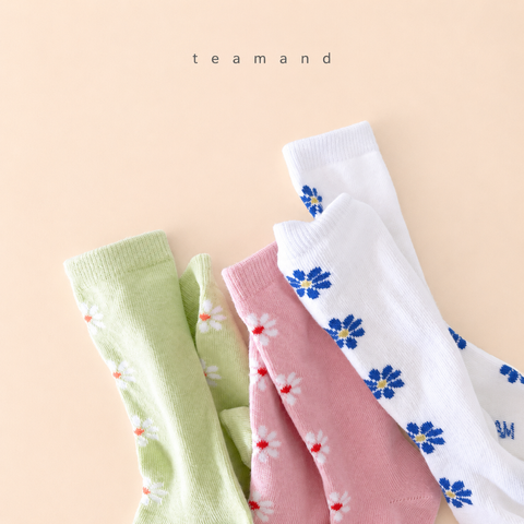 19.앨리스니삭스세트
