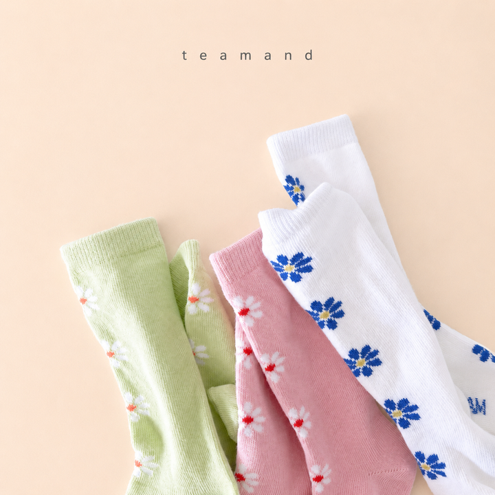 19.앨리스니삭스세트