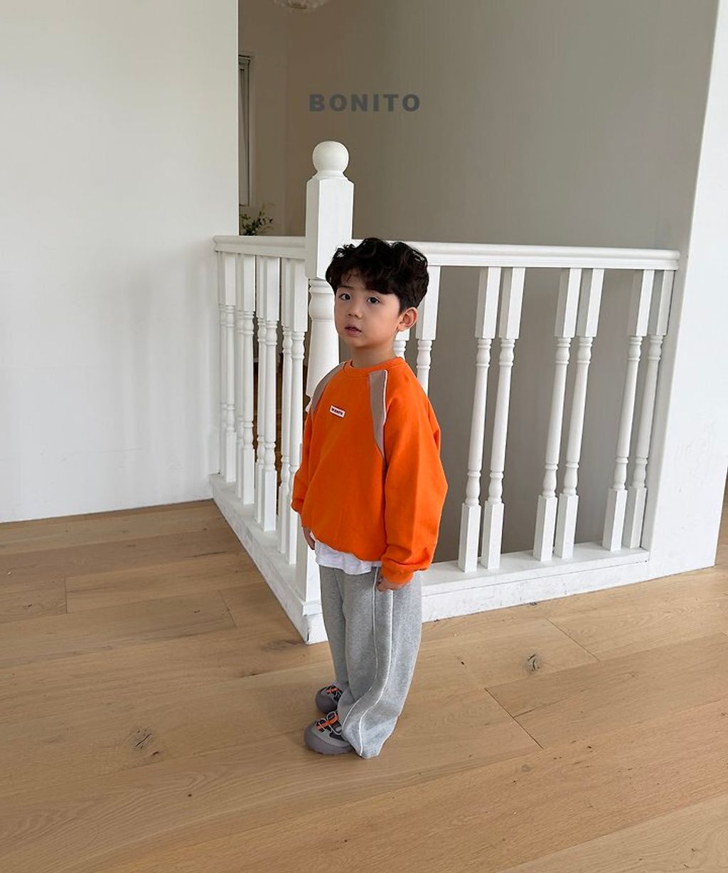 img_l_452