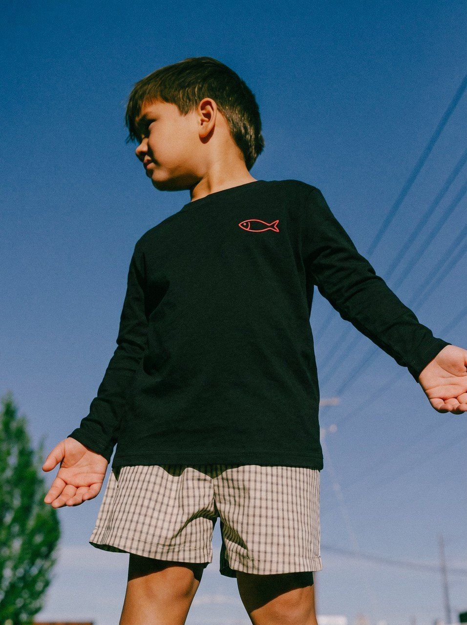 2_5