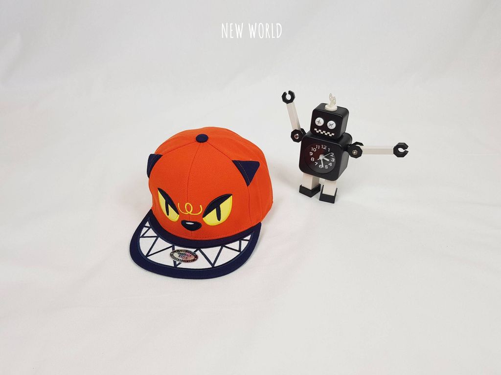 고양이 스냅백 12