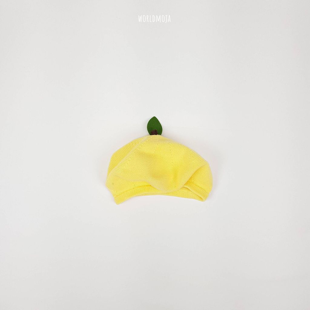면 과일 베레모 10