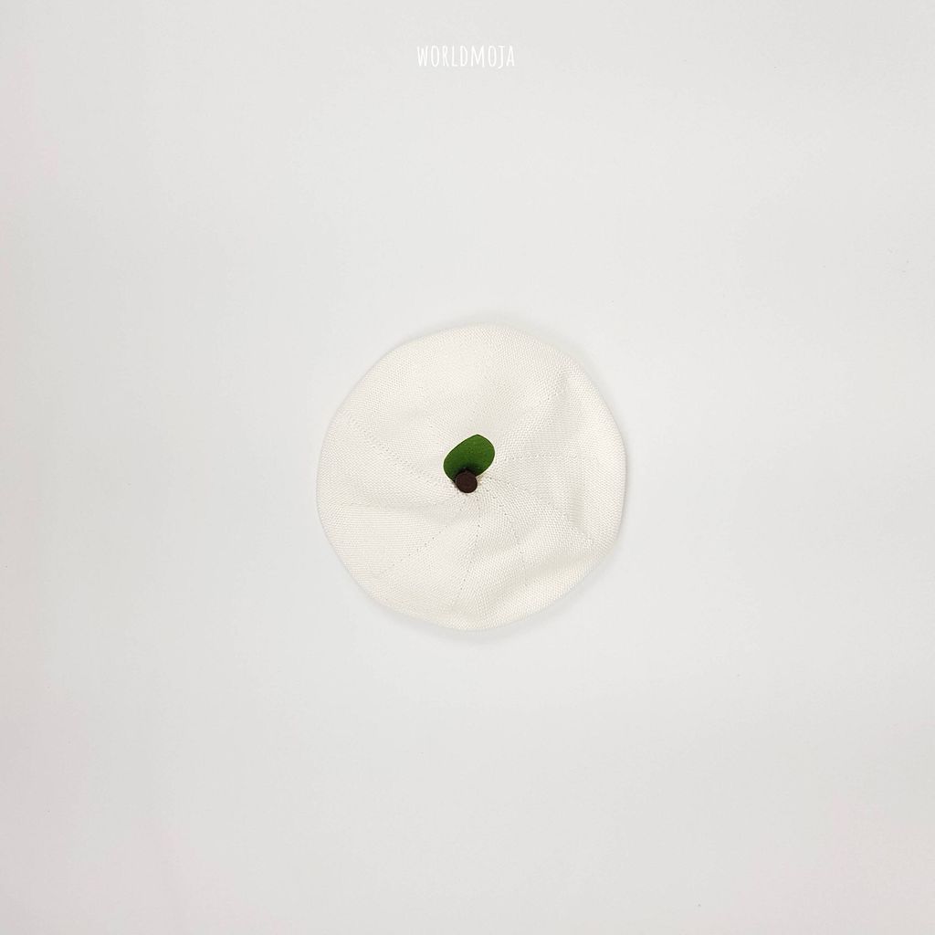 면 과일 베레모 8