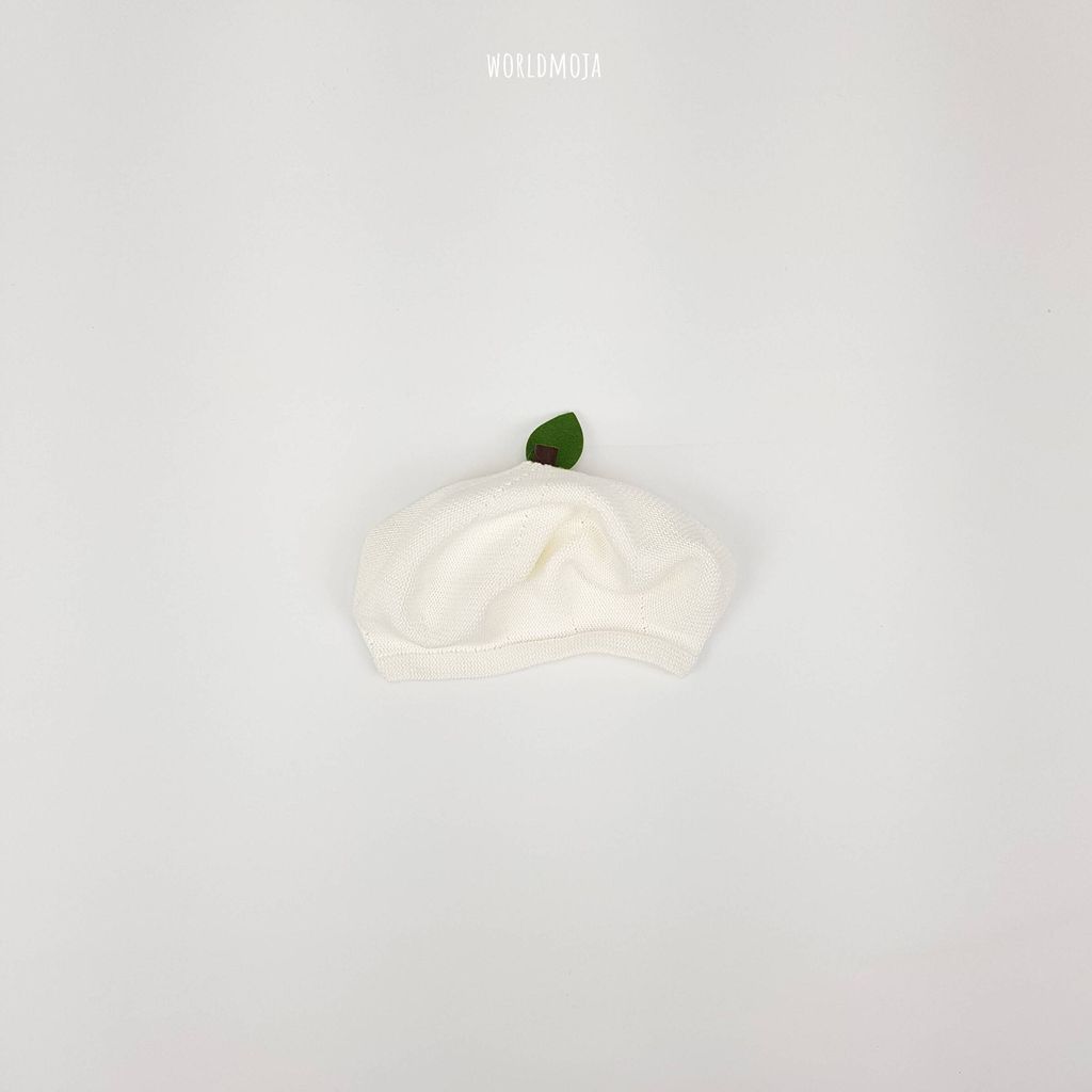 면 과일 베레모 12