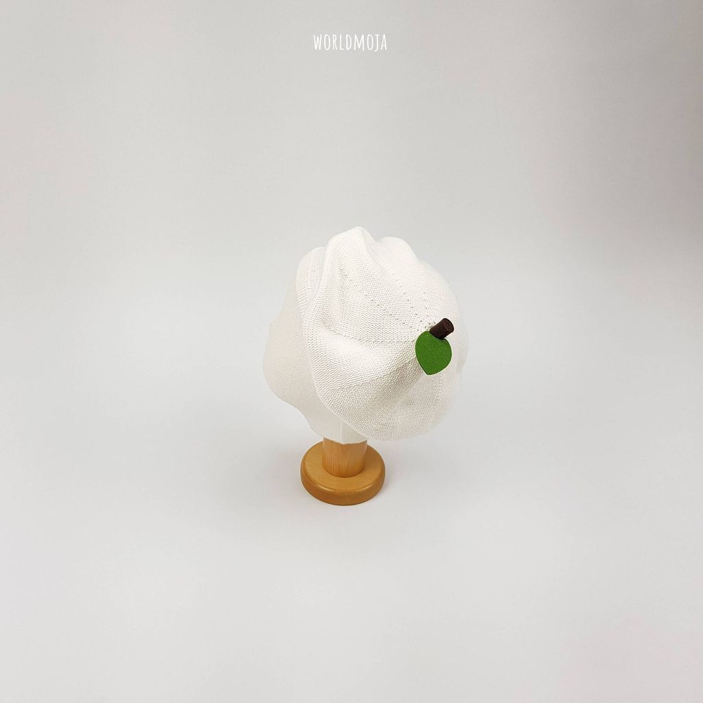 면 과일 베레모 16