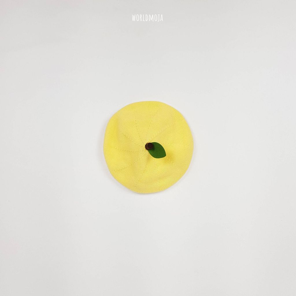 면 과일 베레모 6