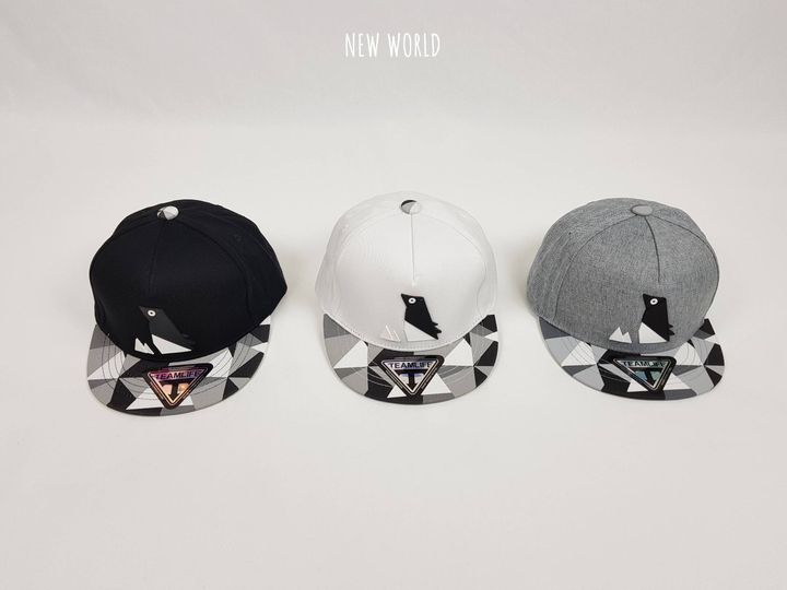 페이퍼 펭귄 스냅백 2