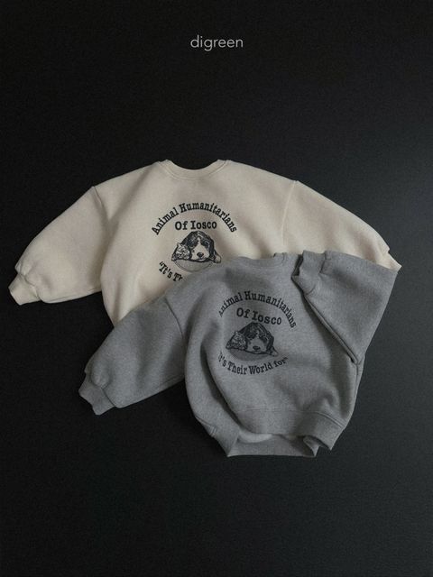 KakaoTalk_20251021_191705802_16