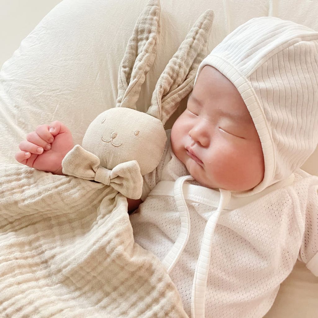 image_5F48085A-286B-499E-B7D8-984B45EC7757_1762502519