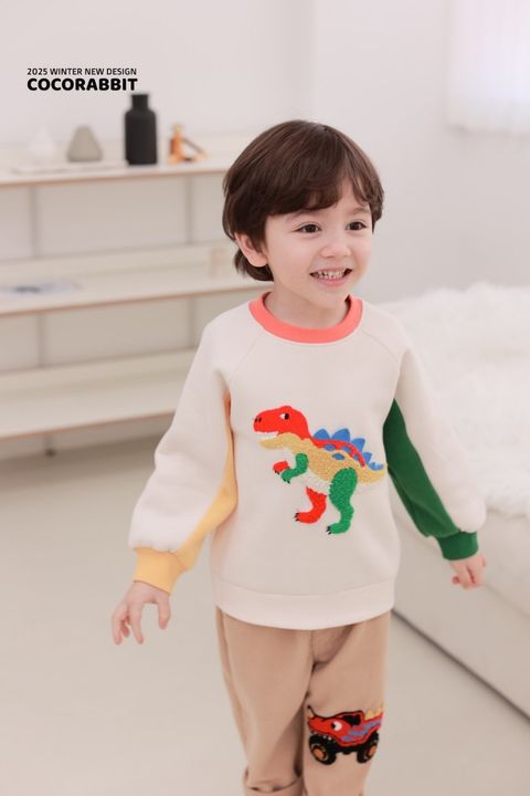 KakaoTalk_20251107_212715347_08