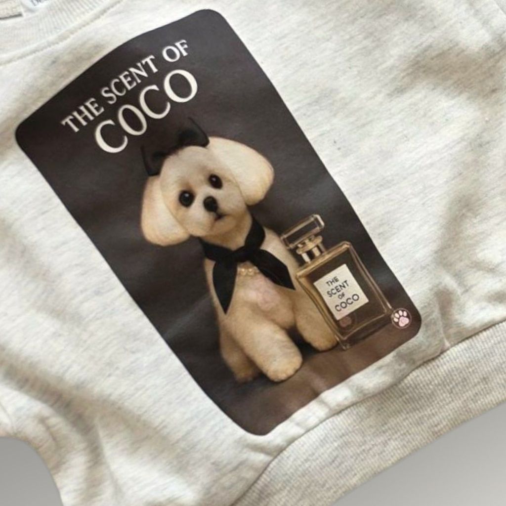 카카오스토리_2025_07_31 16_29_25