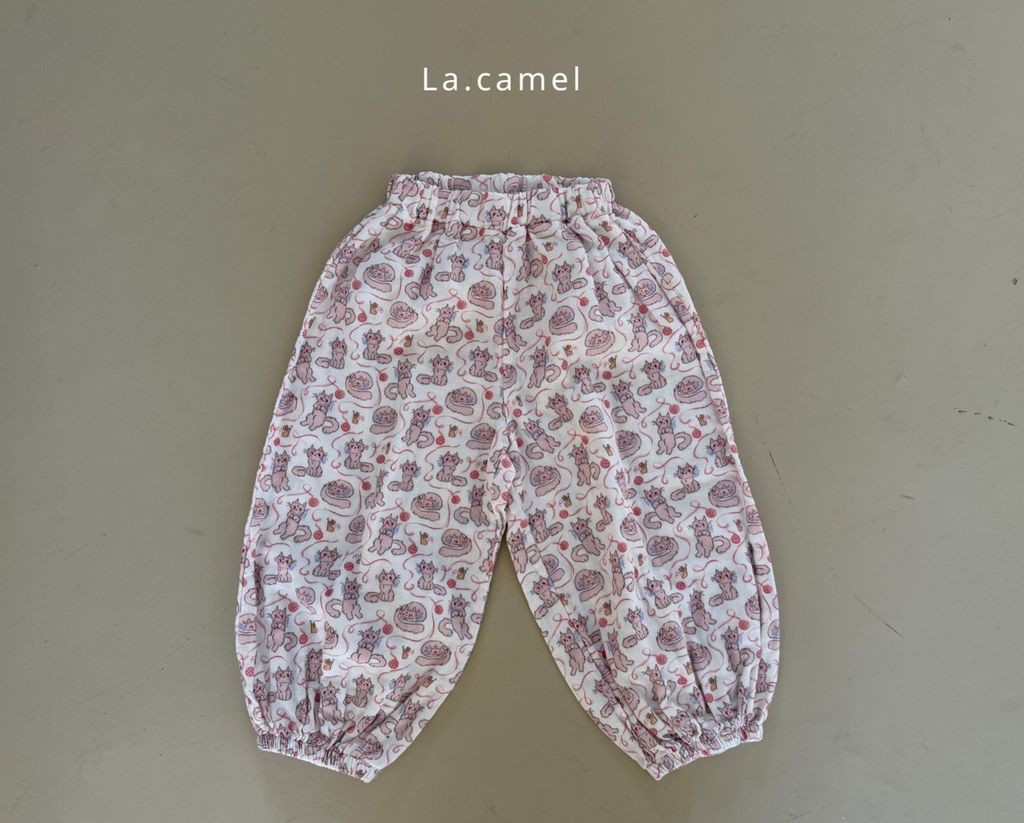 kakao_story_20260122_232001_653833