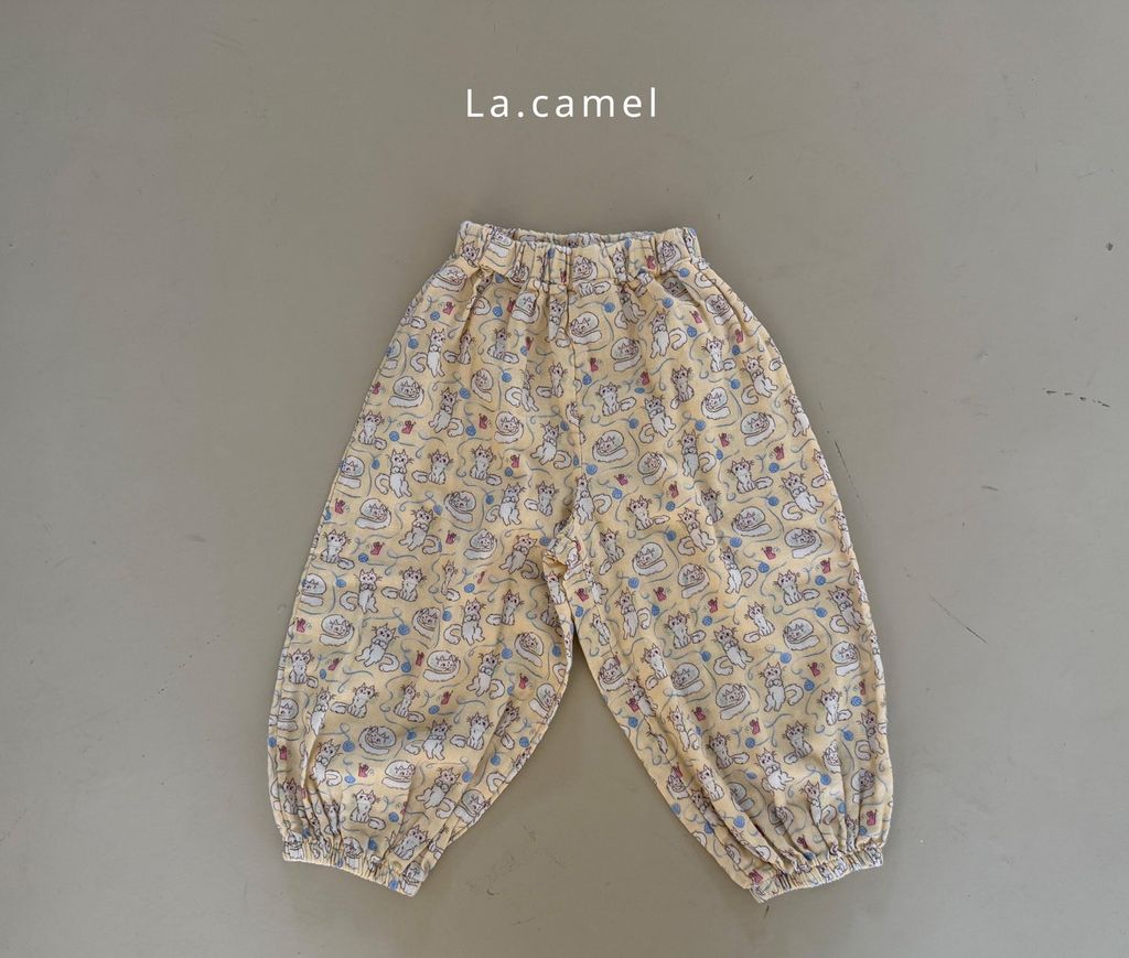 kakao_story_20260122_232001_568935