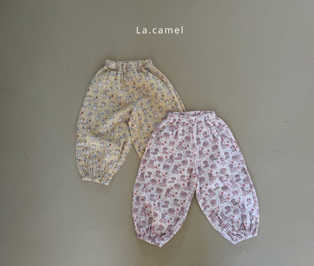 kakao_story_20260122_232002_052133