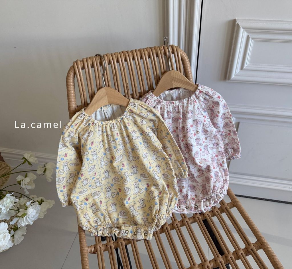 kakao_story_20260122_231907_386315