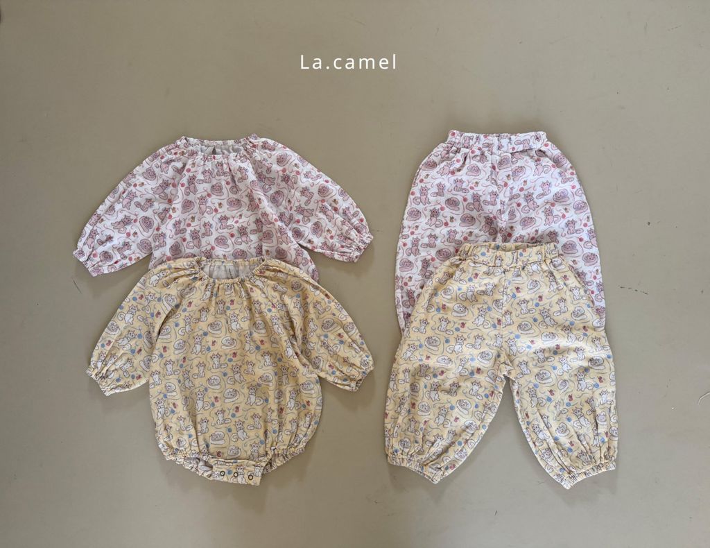 kakao_story_20260122_231907_534569