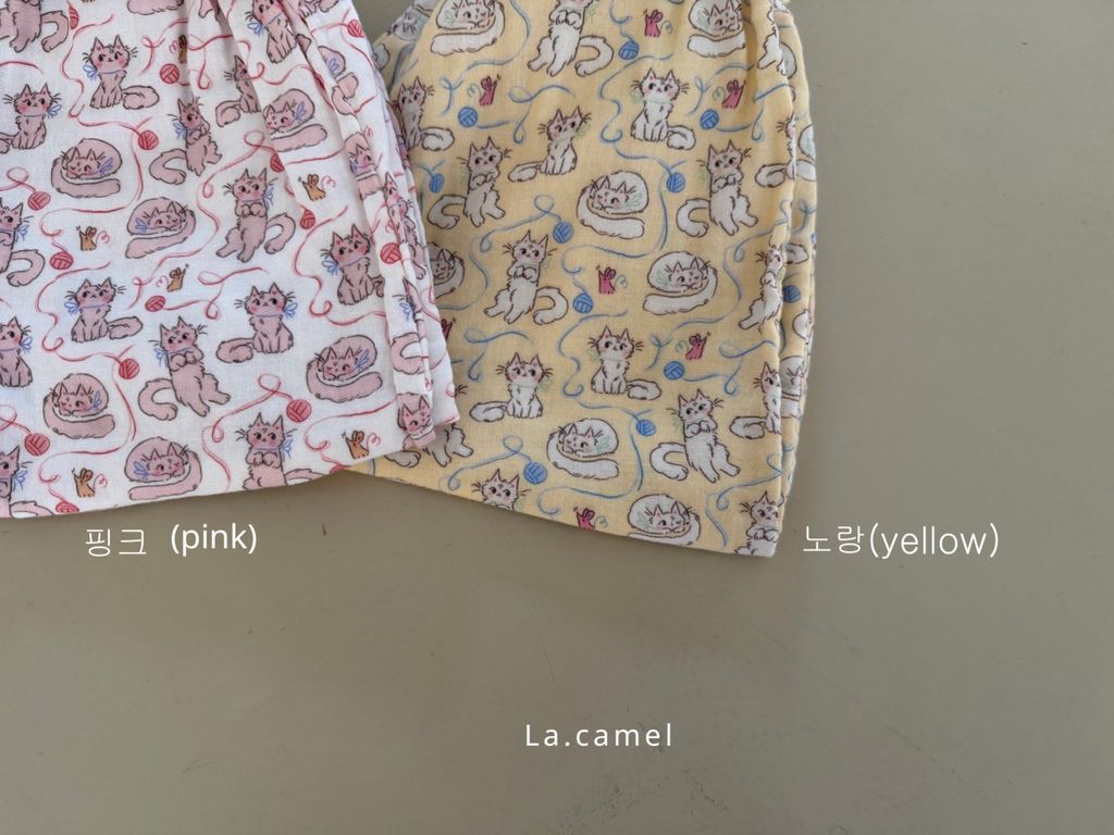 kakao_story_20260122_231907_693998