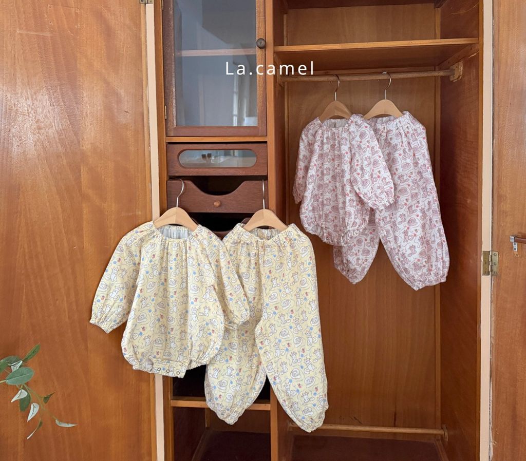 kakao_story_20260122_231907_457544