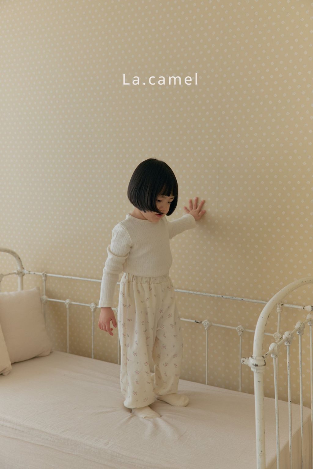 kakao_story_20260122_232910_511243