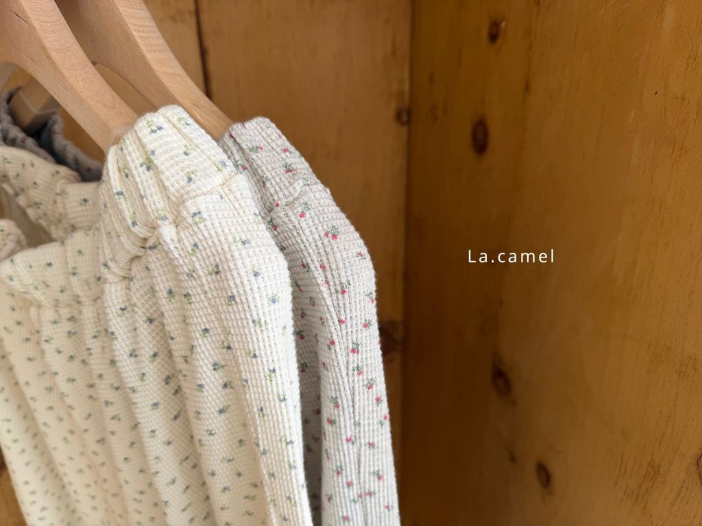 kakao_story_20260122_230410_741117